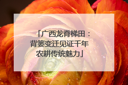 广西龙脊梯田：背篓变迁见证千年农耕传统魅力