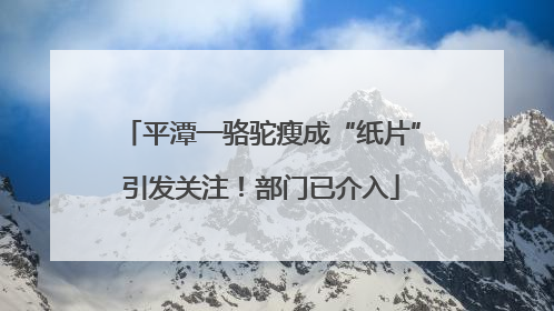 平潭一骆驼瘦成“纸片”引发关注！部门已介入