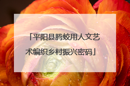 平阳县腾蛟用人文艺术编织乡村振兴密码