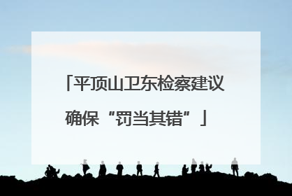 平顶山卫东检察建议确保“罚当其错”