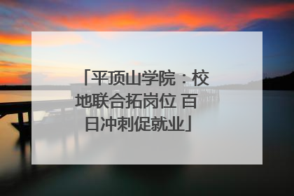 平顶山学院：校地联合拓岗位 百日冲刺促就业