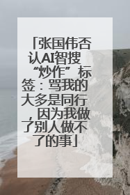 张国伟否认AI智搜“炒作”标签：骂我的大多是同行，因为我做了别人做不了的事