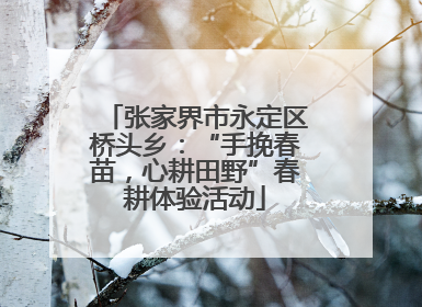 张家界市永定区桥头乡：“手挽春苗，心耕田野”春耕体验活动