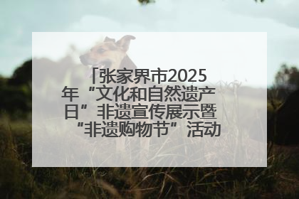 张家界市2025年“文化和自然遗产日”非遗宣传展示暨“非遗购物节”活动在慈利县盛大启幕