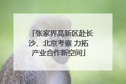 张家界高新区赴长沙、北京考察 力拓产业合作新空间