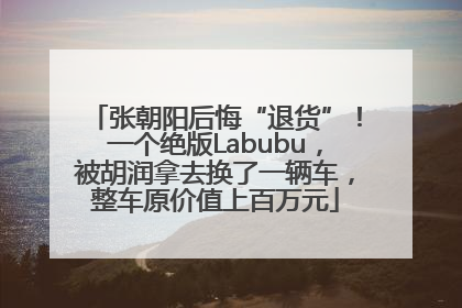 张朝阳后悔“退货”！一个绝版Labubu，被胡润拿去换了一辆车，整车原价值上百万元