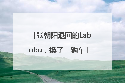 张朝阳退回的Labubu，换了一辆车