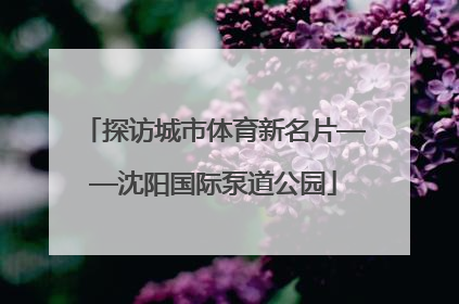 探访城市体育新名片——沈阳国际泵道公园