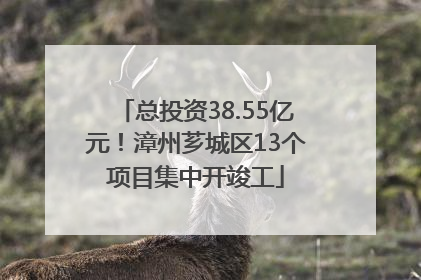 总投资38.55亿元！漳州芗城区13个项目集中开竣工