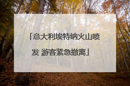 意大利埃特纳火山喷发 游客紧急撤离