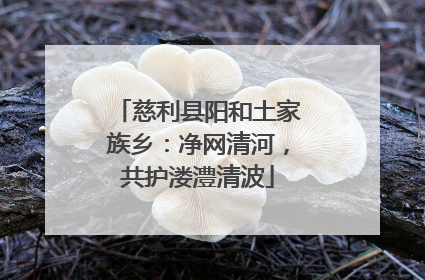 慈利县阳和土家族乡：净网清河，共护溇澧清波