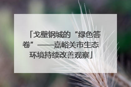 戈壁钢城的“绿色答卷”——嘉峪关市生态环境持续改善观察