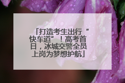 打造考生出行“快车道”！高考首日，冰城交警全员上岗为梦想护航