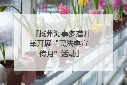 扬州海事多措并举开展“民法典宣传月”活动