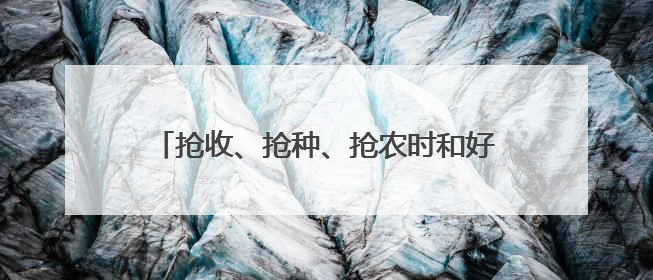 抢收、抢种、抢农时和好天气 从南到北各地多举措保障农业生产顺利进行
