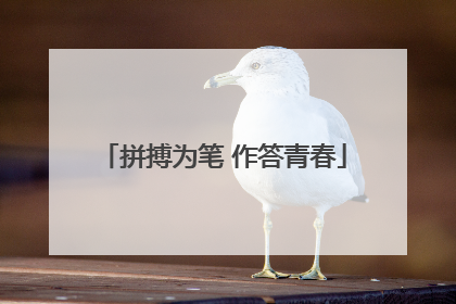 拼搏为笔 作答青春