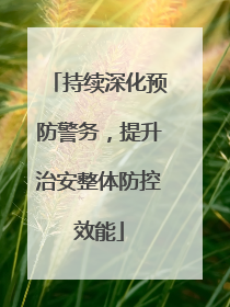 持续深化预防警务，提升治安整体防控效能