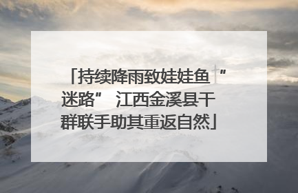 持续降雨致娃娃鱼“迷路” 江西金溪县干群联手助其重返自然