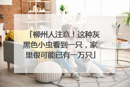 柳州人注意！这种灰黑色小虫看到一只，家里很可能已有一万只