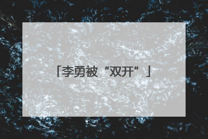 李勇被“双开”