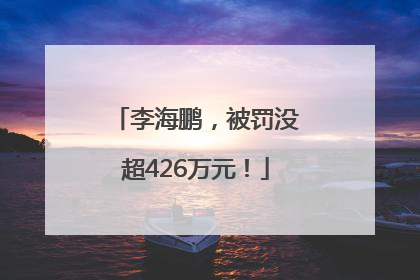 李海鹏，被罚没超426万元！