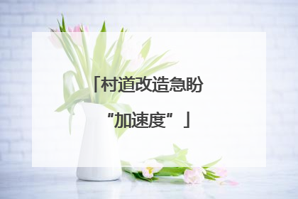 村道改造急盼“加速度”