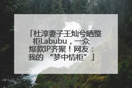 杜淳妻子王灿兮晒整柜Labubu，一众爆款IP齐聚！网友：我的 “梦中情柜”