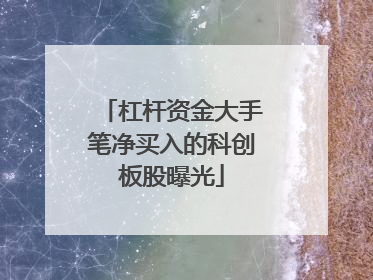 杠杆资金大手笔净买入的科创板股曝光