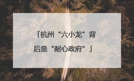 杭州“六小龙”背后是“耐心政府”