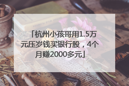 杭州小孩哥用1.5万元压岁钱买银行股，4个月赚2000多元
