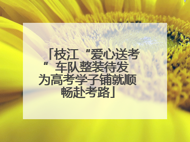 枝江“爱心送考”车队整装待发 为高考学子铺就顺畅赴考路