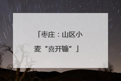 枣庄：山区小麦“喜开镰”