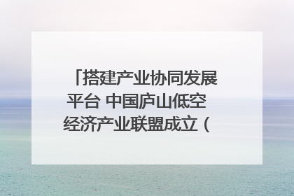 搭建产业协同发展平台 中国庐山低空经济产业联盟成立（组图｜视频）