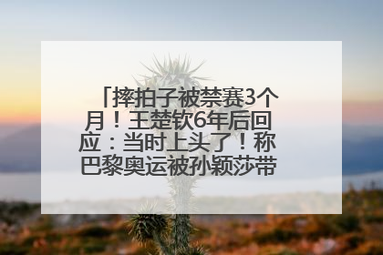 摔拍子被禁赛3个月！王楚钦6年后回应：当时上头了！称巴黎奥运被孙颖莎带着打，搭档8年“一个眼神就能懂”