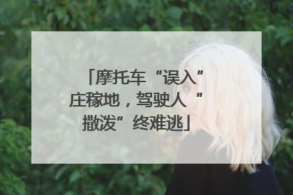 摩托车“误入”庄稼地，驾驶人“撒泼”终难逃