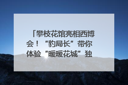 攀枝花馆亮相西博会！“豹局长”带你体验“暖暖花城”独特魅力｜西博视界