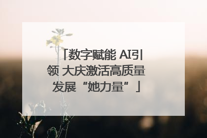数字赋能 AI引领 大庆激活高质量发展“她力量”