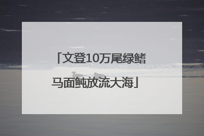 文登10万尾绿鳍马面鲀放流大海