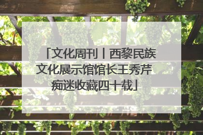 文化周刊丨西黎民族文化展示馆馆长王秀芹痴迷收藏四十载