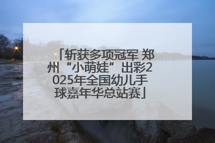 斩获多项冠军 郑州“小萌娃”出彩2025年全国幼儿手球嘉年华总站赛