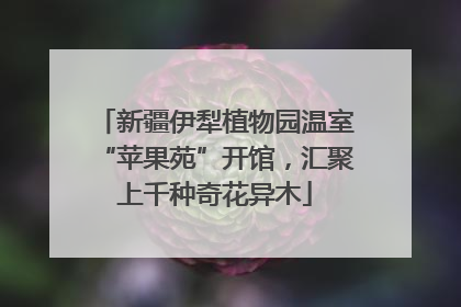 新疆伊犁植物园温室“苹果苑”开馆，汇聚上千种奇花异木