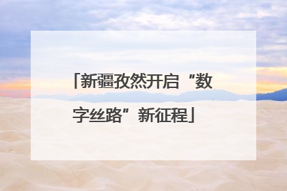 新疆孜然开启“数字丝路”新征程
