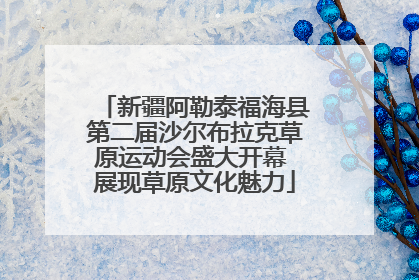 新疆阿勒泰福海县第二届沙尔布拉克草原运动会盛大开幕 展现草原文化魅力