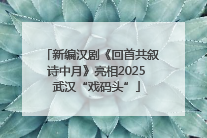 新编汉剧《回首共叙诗中月》亮相2025武汉“戏码头”