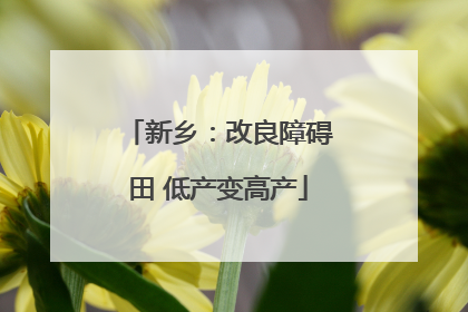 新乡：改良障碍田 低产变高产