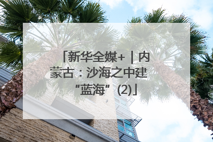 新华全媒+｜内蒙古：沙海之中建“蓝海”(2)