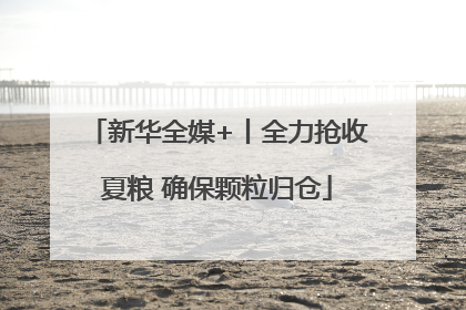 新华全媒+丨全力抢收夏粮 确保颗粒归仓