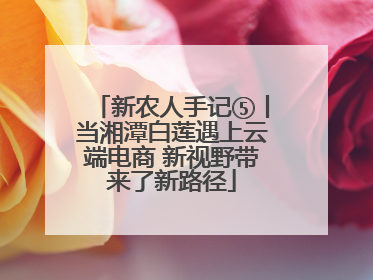 新农人手记⑤丨当湘潭白莲遇上云端电商 新视野带来了新路径