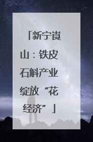 新宁崀山：铁皮石斛产业绽放“花经济”