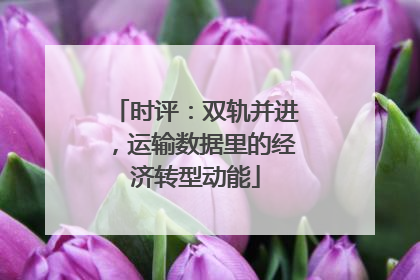 时评：双轨并进，运输数据里的经济转型动能